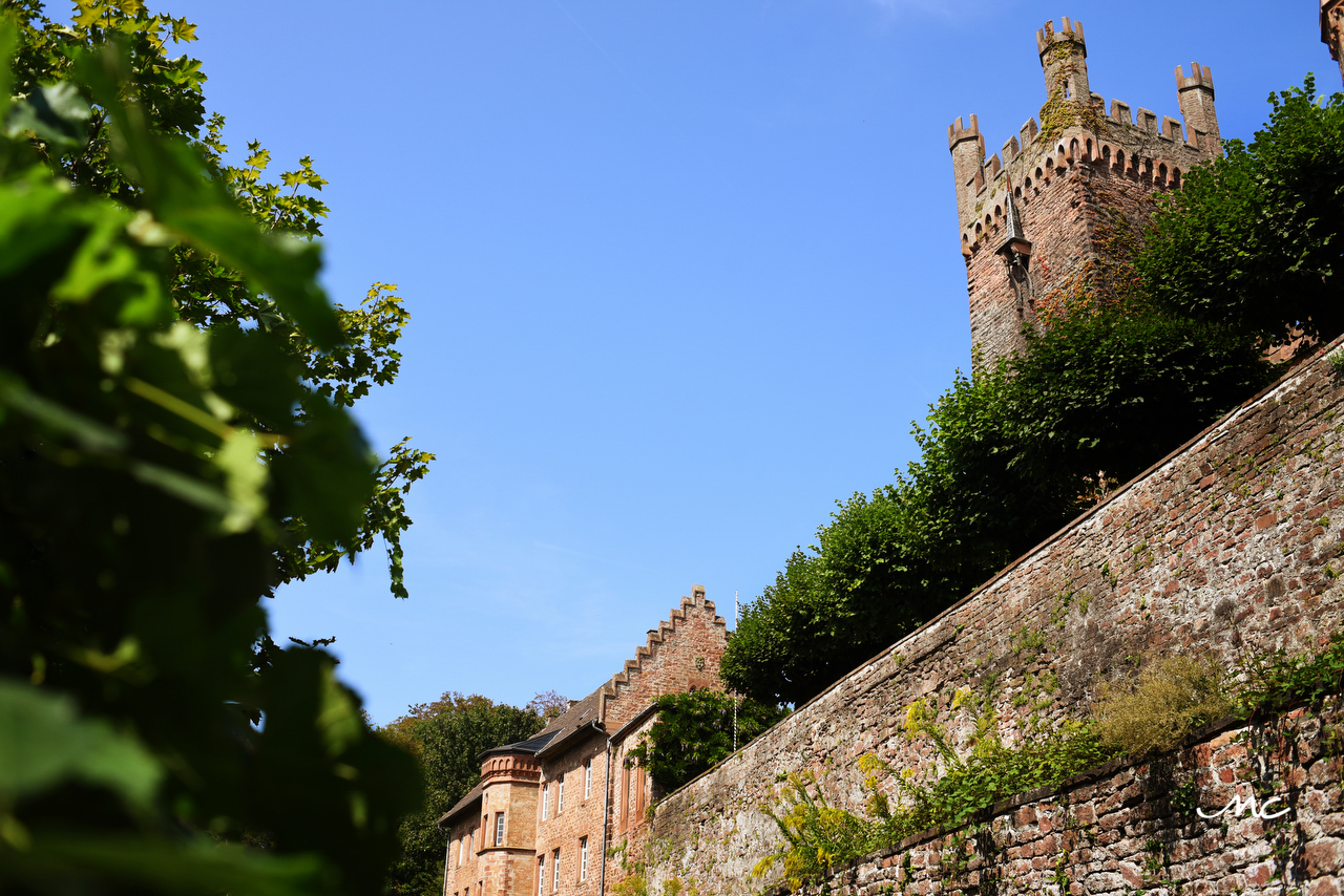 Heidelberg Castle Wedding in Germany. Martina Campolo Photography