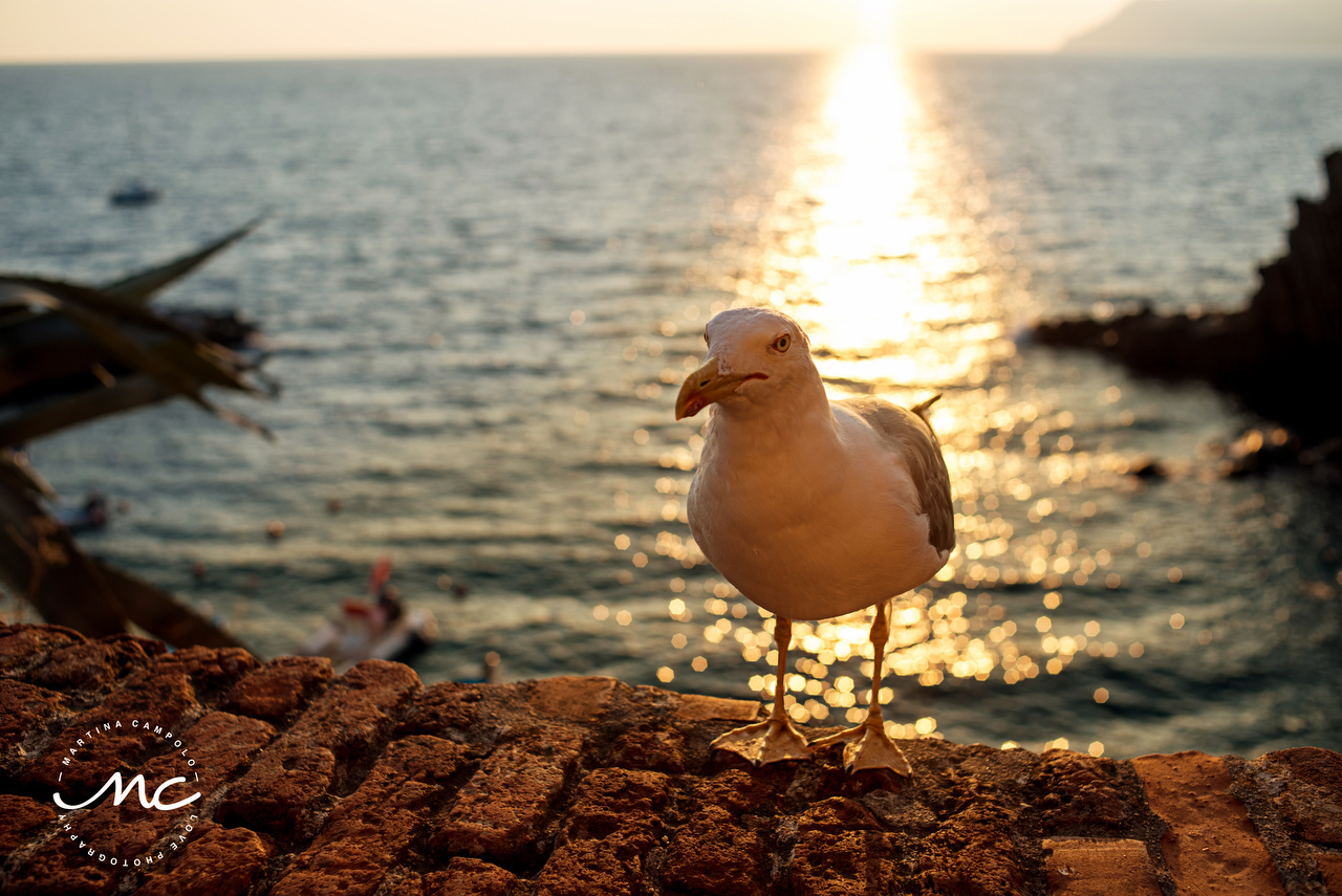 Cinque Terre, Italy. Martina Campolo Destination Wedding Photographer